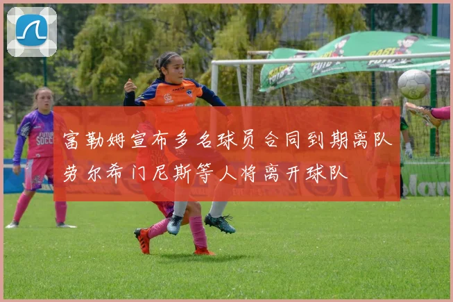 富勒姆宣布多名球员合同到期离队劳尔希门尼斯等人将离开球队