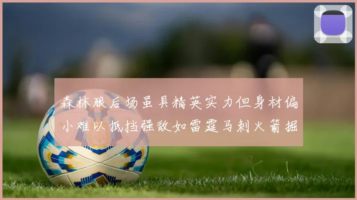 森林狼后场虽具精英实力但身材偏小难以抵挡强敌如雷霆马刺火箭掘金